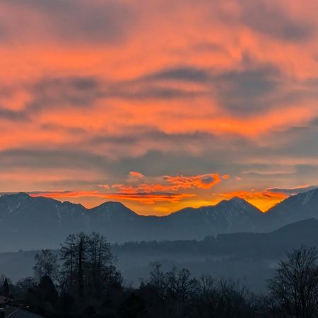 Am Eichholz Galerie & Art-Hotel Murnau am Staffelsee Esterno foto